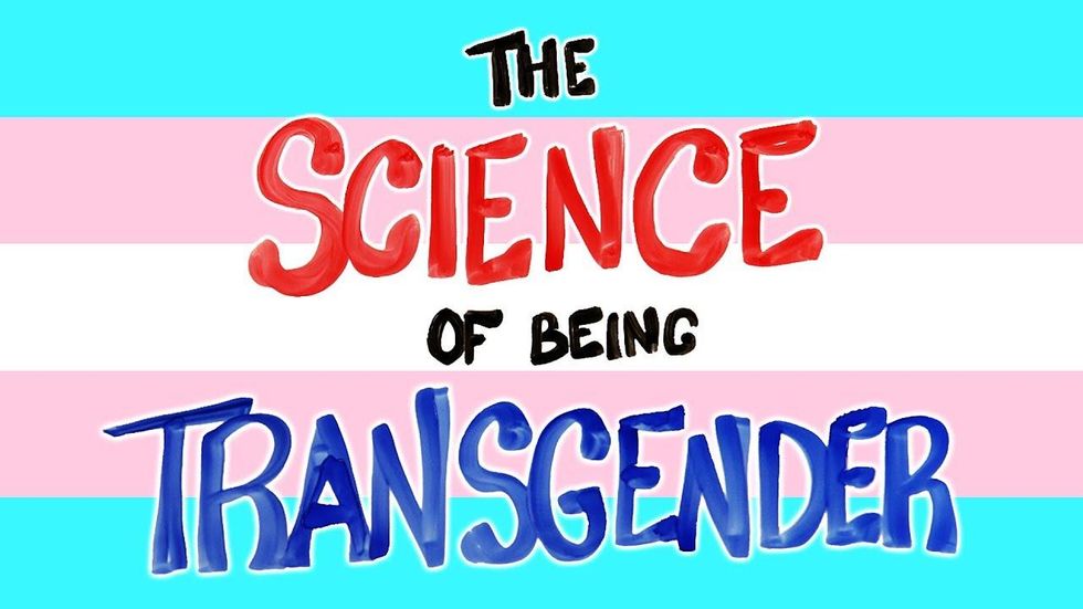 Twitter outright bans misgendering and ‘deadnaming’ in effort to avoid offending trans people