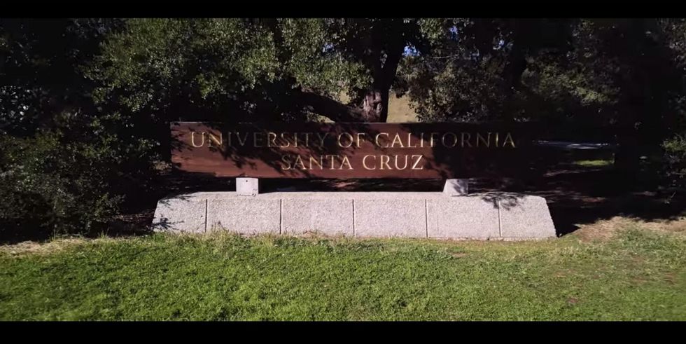 UC Santa Cruz professor assigns essay on ‘Donald Rump’: ‘Known to target women, minorities’