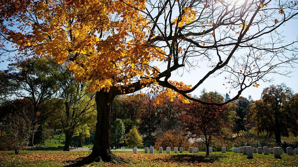 US life expectancy drops again in 2017, marking the worst period of decline since World War I