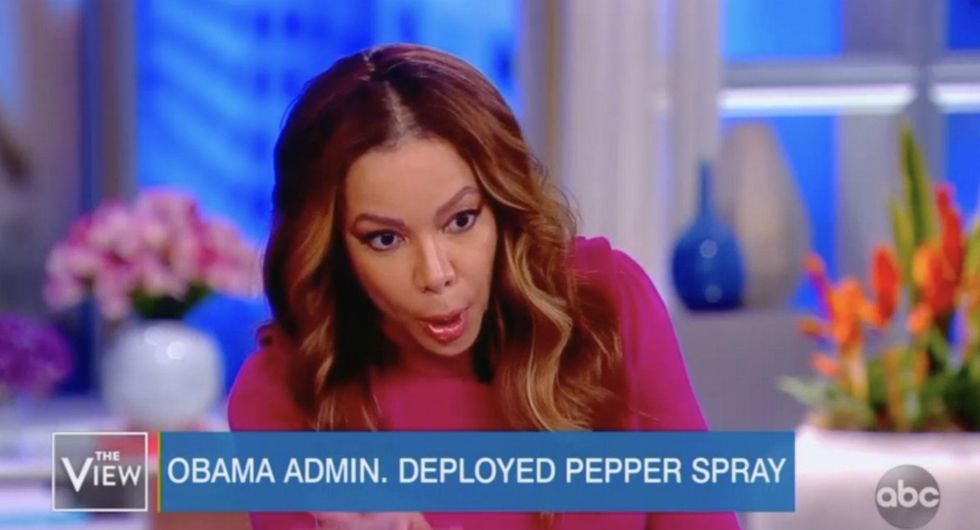 ‘The View’ co-host loses it when confronted with Obama history on gassing migrants: ‘I don’t care!’