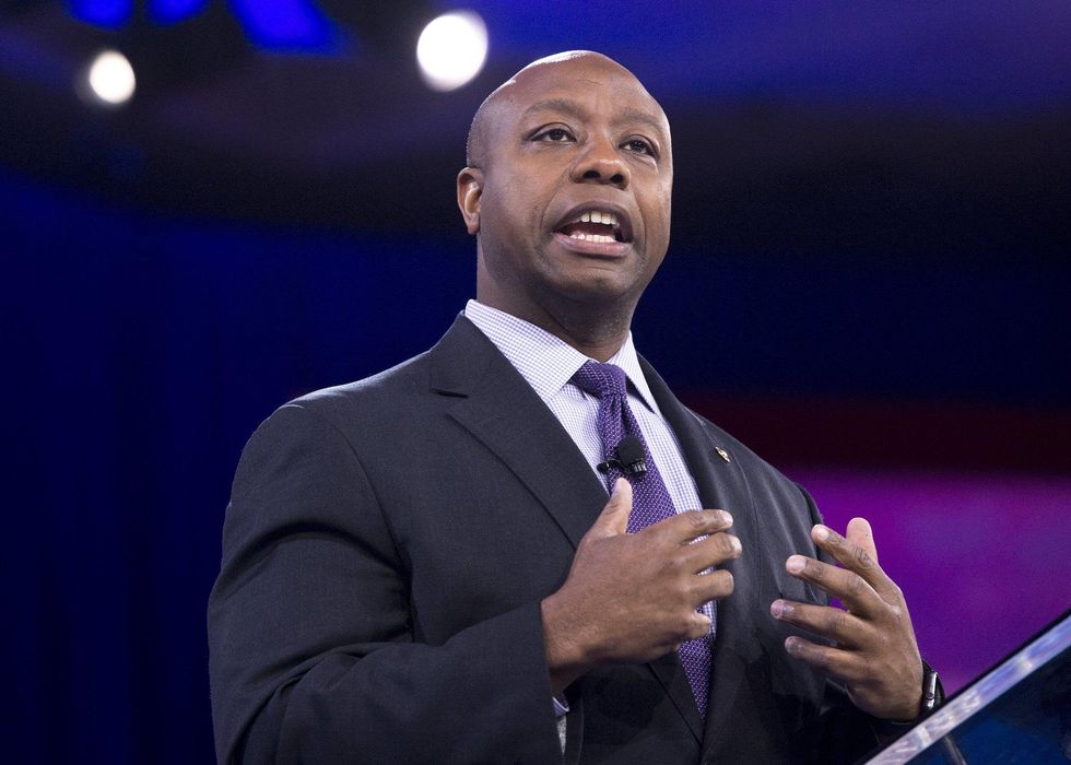 Tim Scott tanks Trump's judicial appointee after this report surfaces