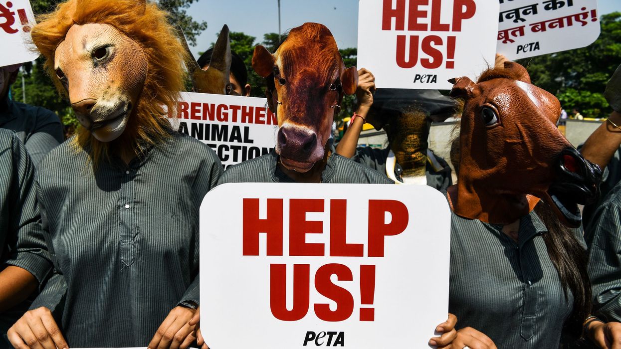Forget about banning ‘bring home the bacon’ — PETA has a bevy of ‘anti-animal’ phrases to avoid using
