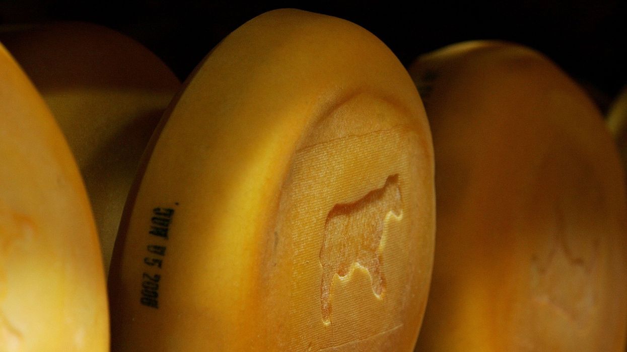 Tariffs are hurting America's cheese industry