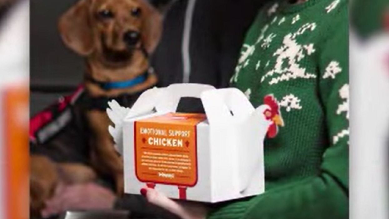PETA squawks over Popeyes' 'emotional support chicken' meal carriers
