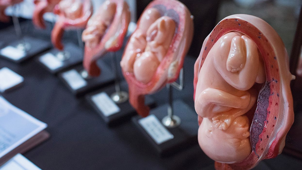 John Kasich vetoes bill to ban abortions after unborn baby's heartbeat is detected