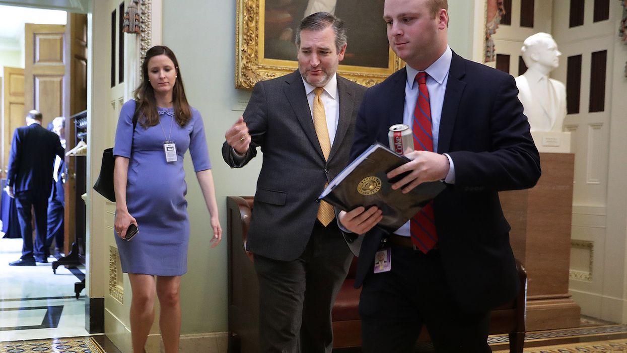 Sen. Ted Cruz, Rep. Francis Rooney introduce amendment to set term limits on Congress