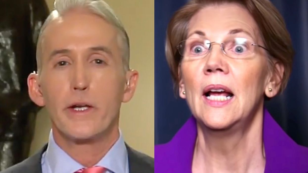 Trey Gowdy issues a scathing rebuke to Liz Warren after she makes this accusation via tweet