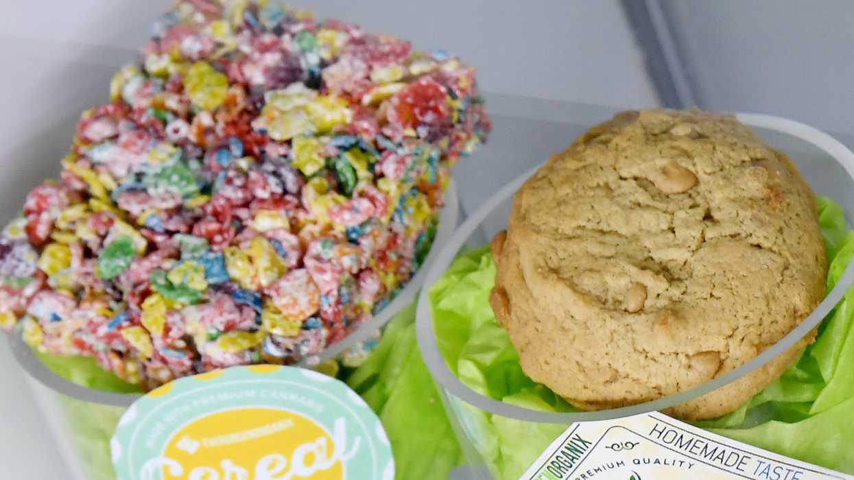 California doctor loses license after prescribing pot cookies to curb 4-year-old's temper tantrums