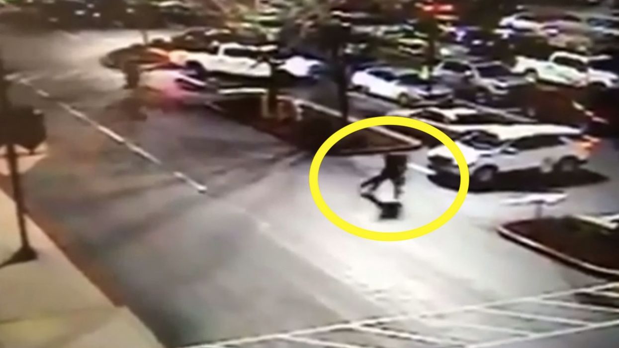 Security guard tackles suspect who punched, then fled from deputies — only to get fired for his 'noble' deed
