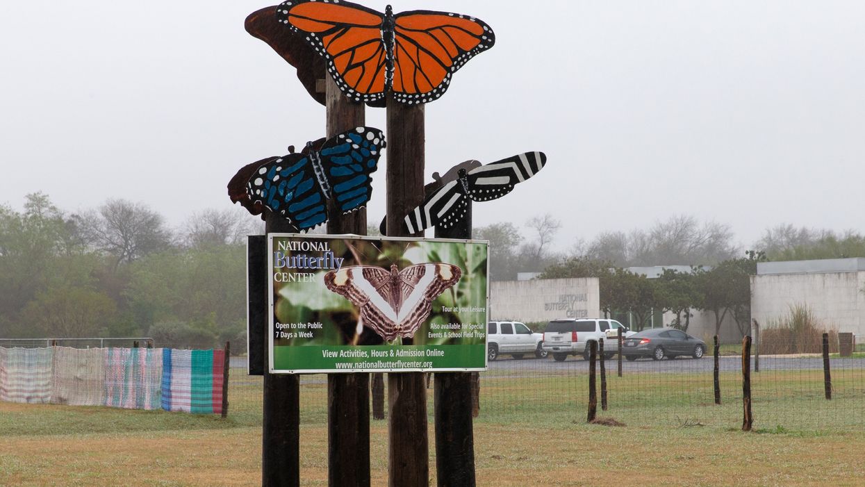 Judge throws out butterfly sanctuary's lawsuit against Trump over border wall