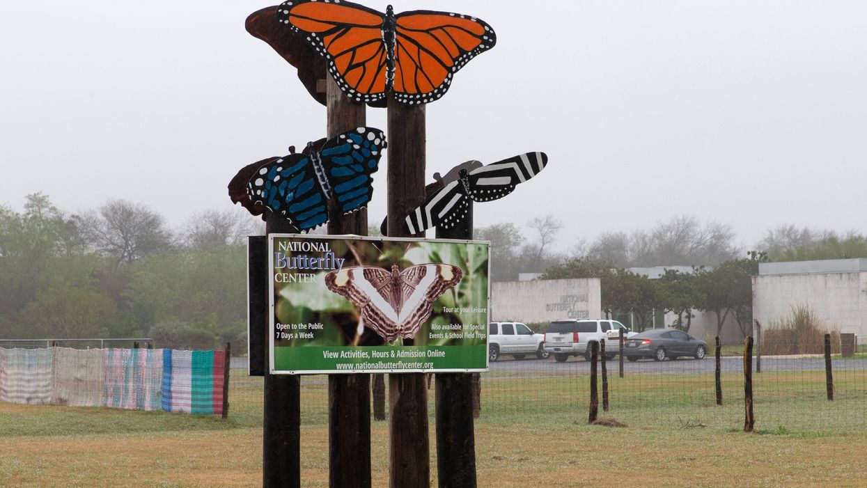Judge throws out butterfly sanctuary's lawsuit against Trump over border wall