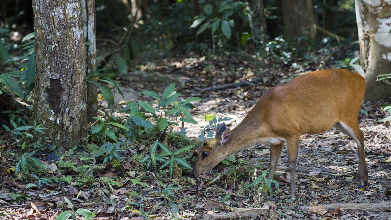 Dating app reportedly bans female hunter from platform for posing with prized kill