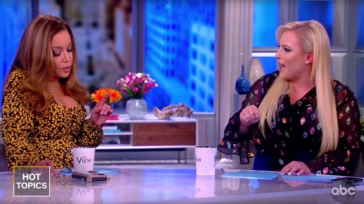 Meghan McCain lights into 'The View' co-host over infanticide: 'A baby born from a botched abortion should be put down like a dog?'