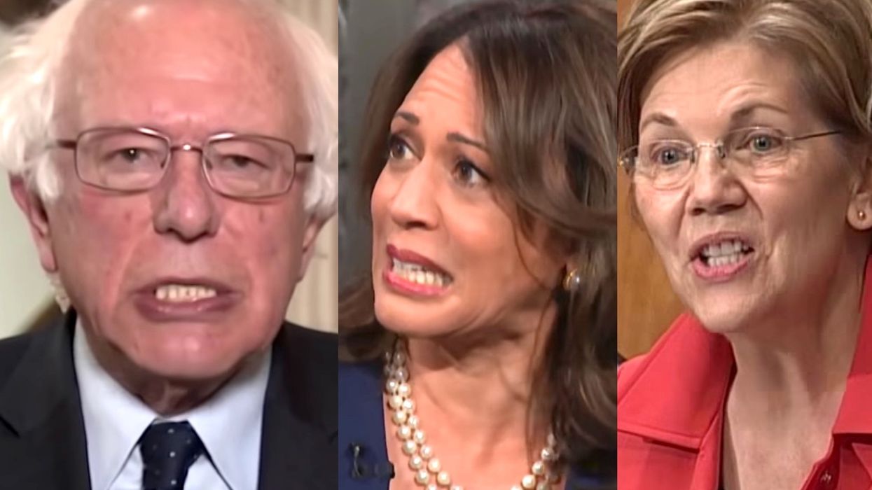 One Democratic presidential candidate is absolutely bombing in new poll of New Hampshire residents