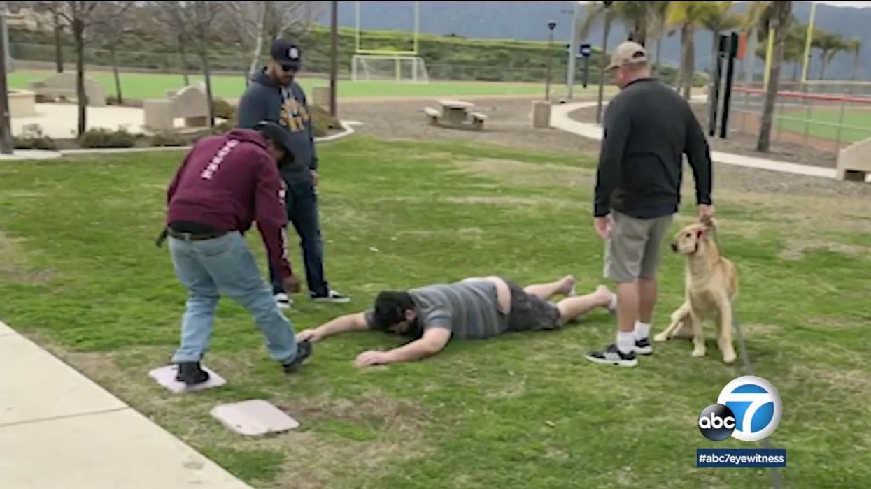 Registered sex offender reportedly tries to kidnap two small children from public park — but angry parents and bystanders intervene