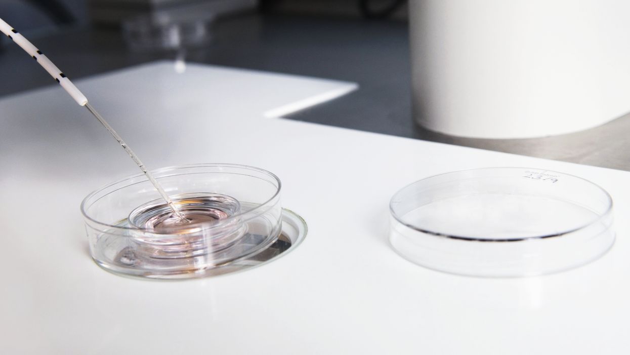 Man arrested at Indian airport with human embryo could be part of a possible smuggling ring, police say