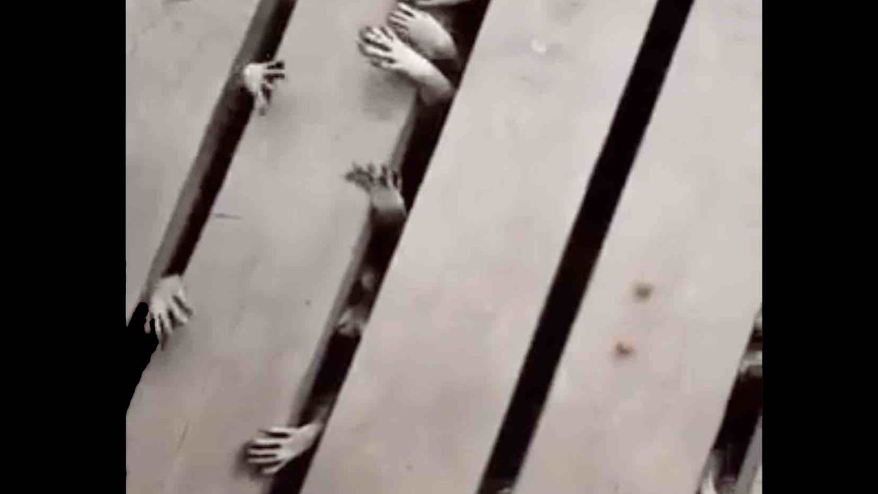 This is the most terrifying thing you will see all week