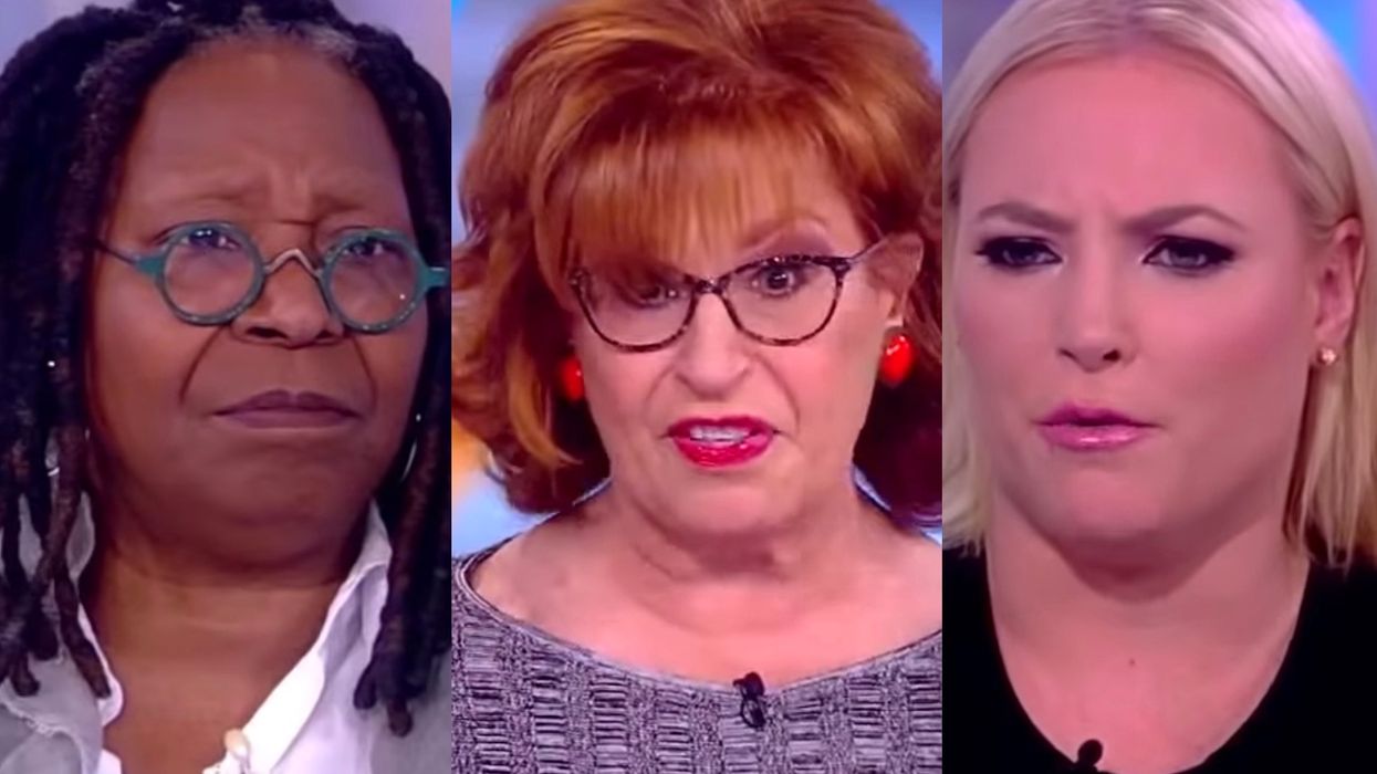 'The View' hosts say they want Joe Biden to continue smelling women's hair and kissing them
