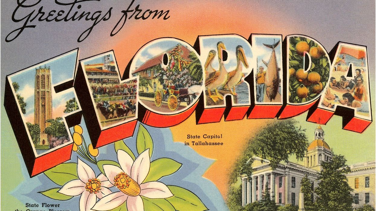 ACLU warns 'immigrants and people of color to use extreme caution when traveling in Florida'