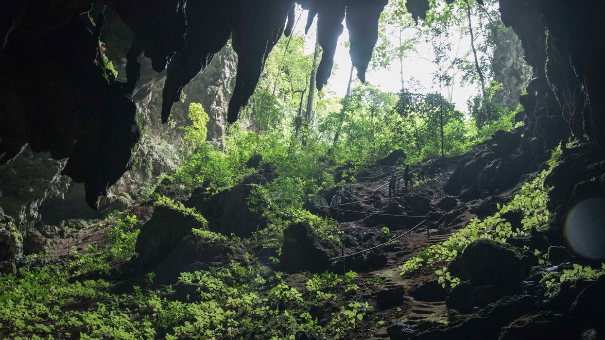 Diver who rescued boys from cave in Thailand had to be rescued himself