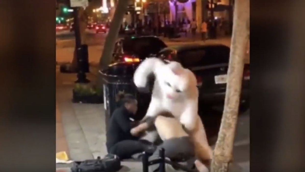 Brawling man wearing Easter bunny costume explains what got him so hopping mad in viral video (UPDATE)