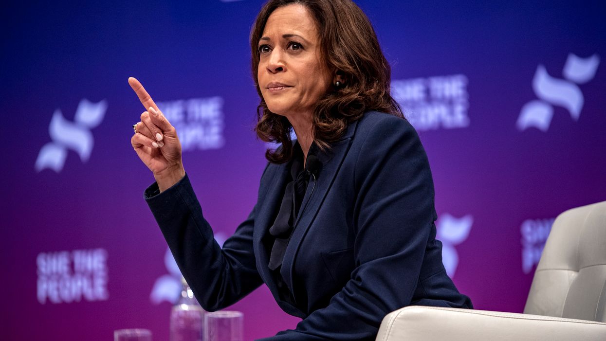 Kamala Harris is unfit to be the Democratic nominee because she owns a handgun, columnist writes