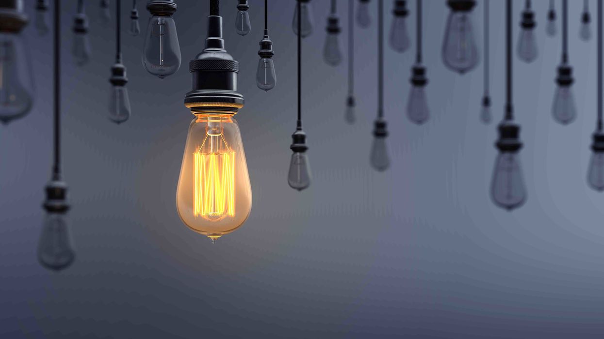 Progressives do not want real diversity. They want power and control.