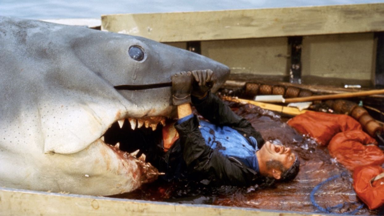 Cape Cod residents in a frenzy over towels, shirts that make fun of shark attacks. Store responds just as you'd expect.