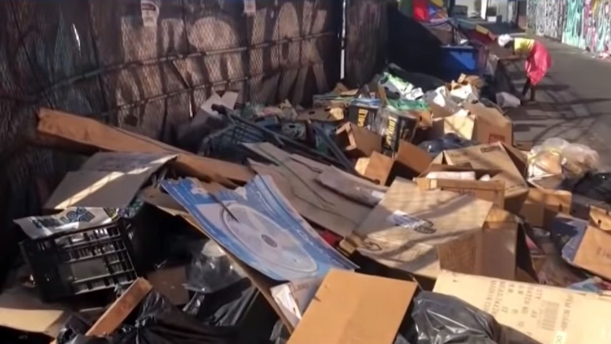 Rat-infested mountains of rotting garbage are piling up in Los Angeles — and may spur disease epidemic