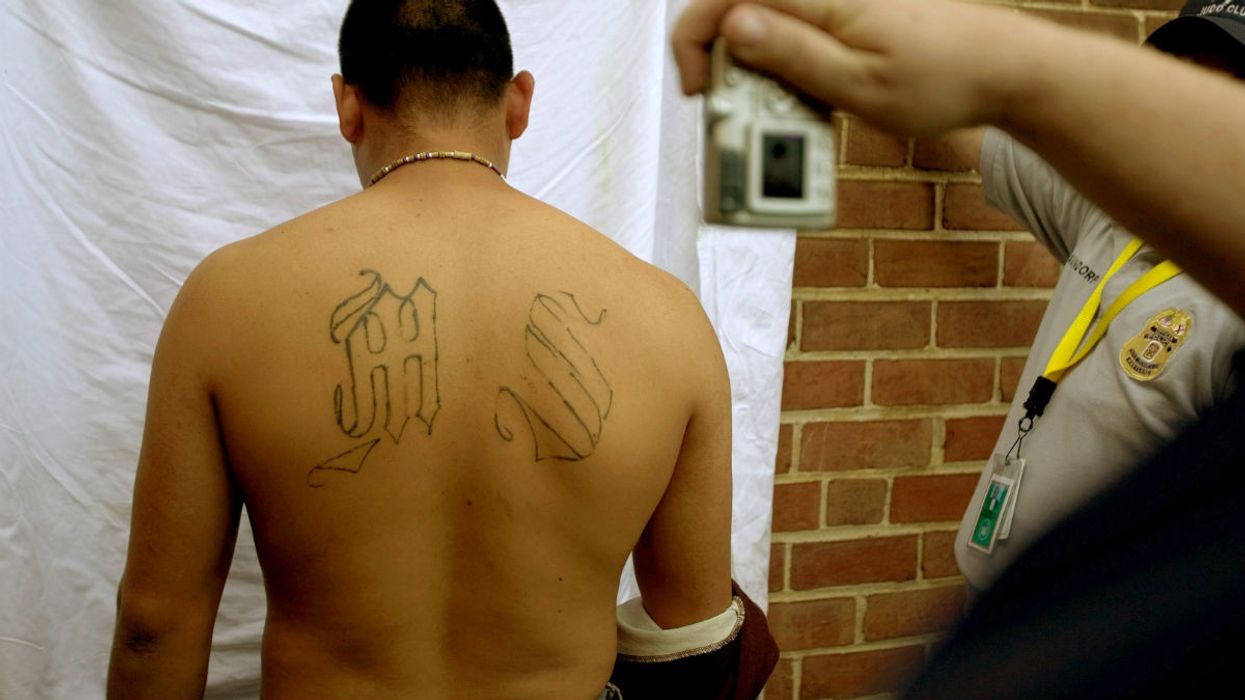 Maryland jail defends shocking decision to release MS-13 killers in spite of ICE detainer