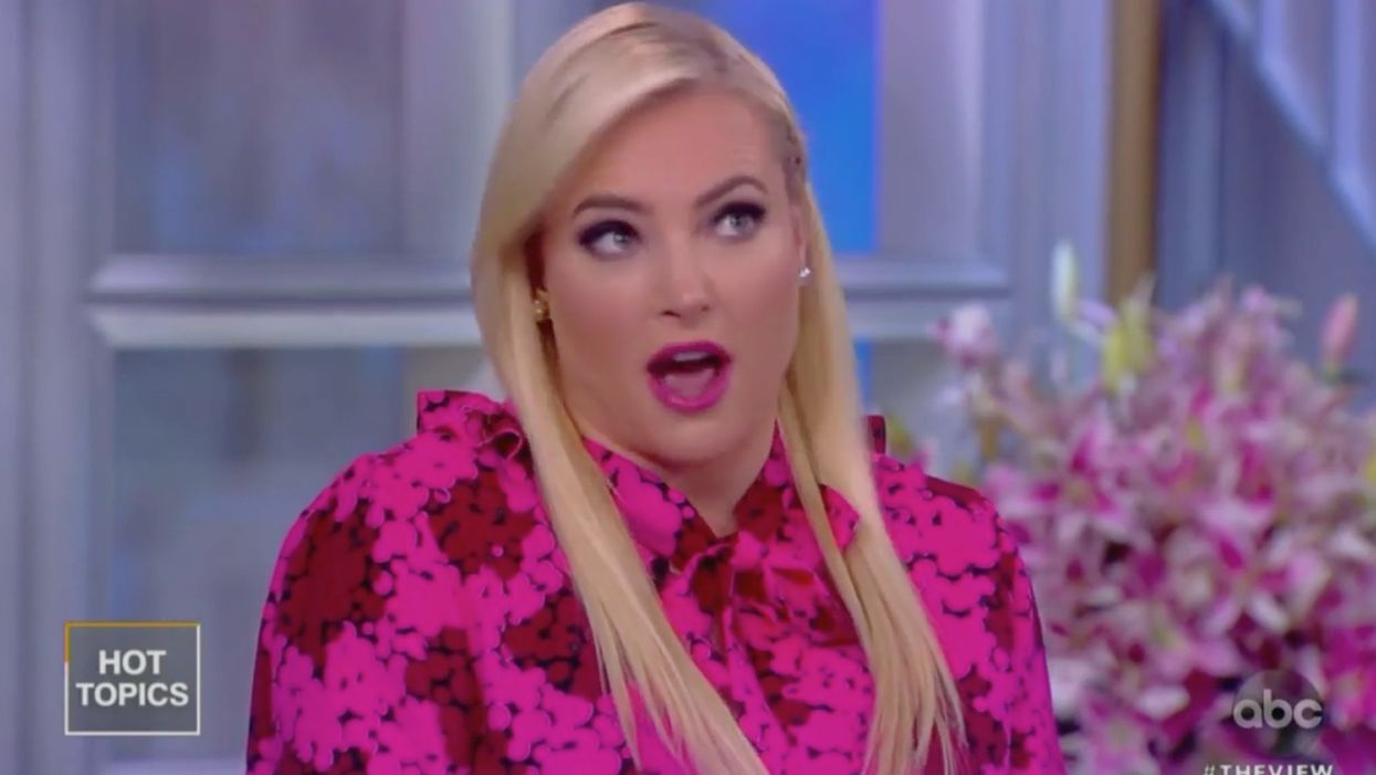 Meghan McCain unloads on Joy Behar on ‘The View’ over party politics: ‘We have to put this crap aside!’