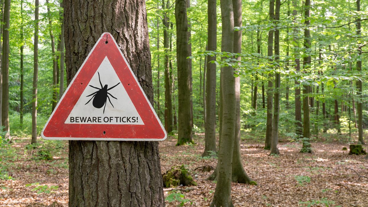 The CDC is trying to warn people about tick bites in a really gross way