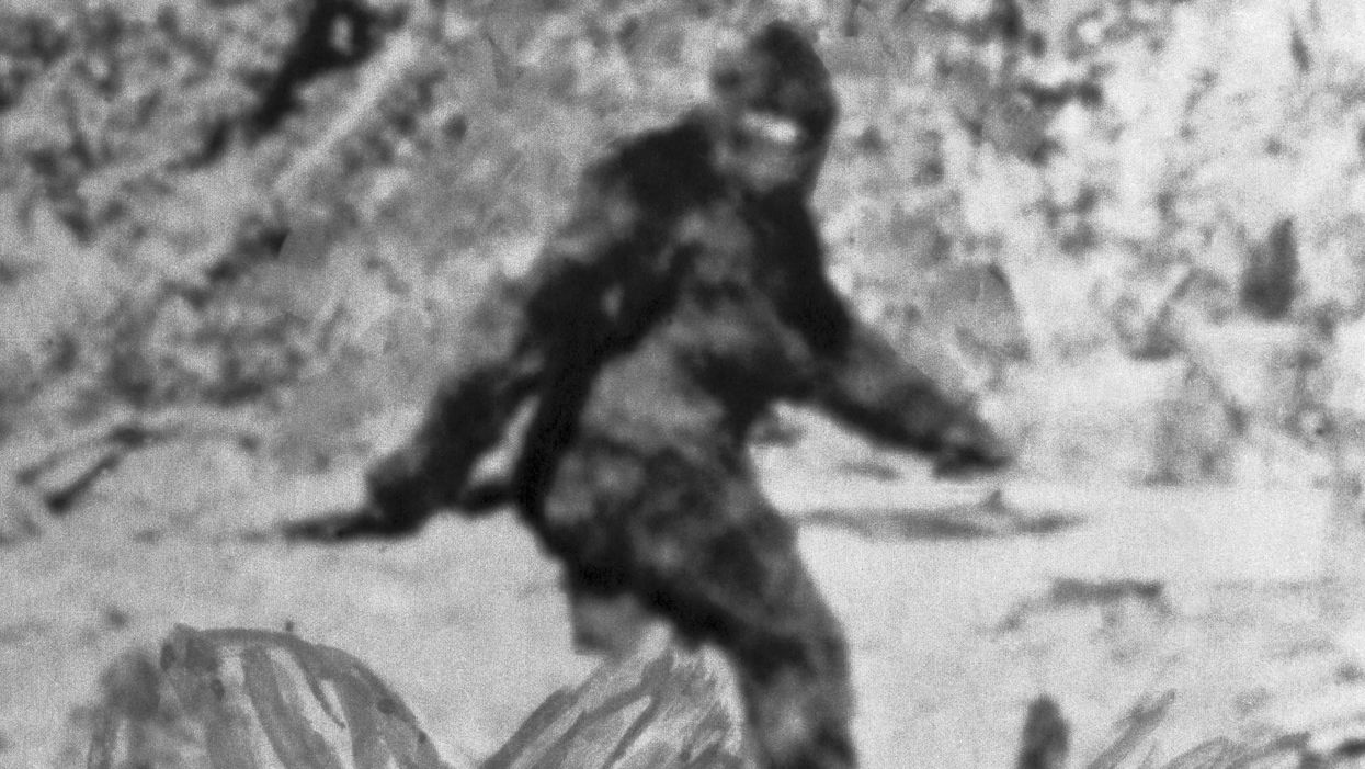 The FBI released 22 pages of files it had on Bigfoot — here's what they said