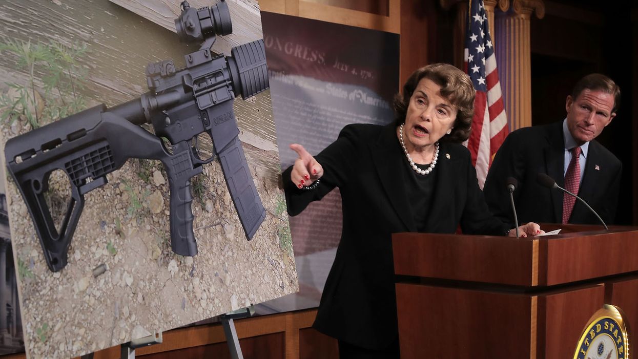 Dianne Feinstein wants people to believe that AR-15s are bad for hunting and home defense