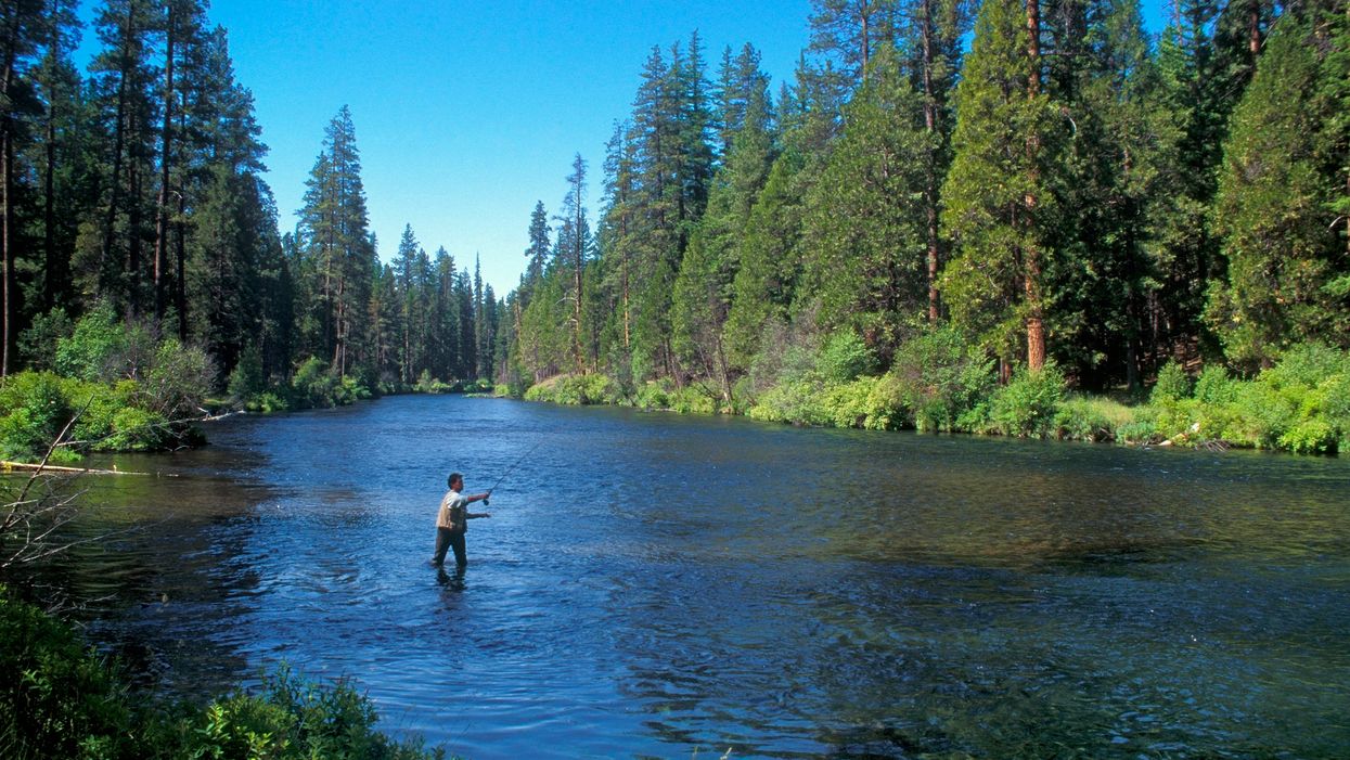Trump administration to expand hunting, fishing access on 1.4 million federal acres