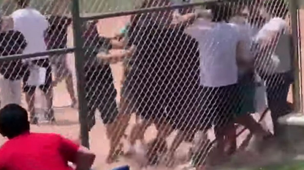 WATCH: Adults brawl at baseball game for 7-year-olds after young teen umpire made a controversial call