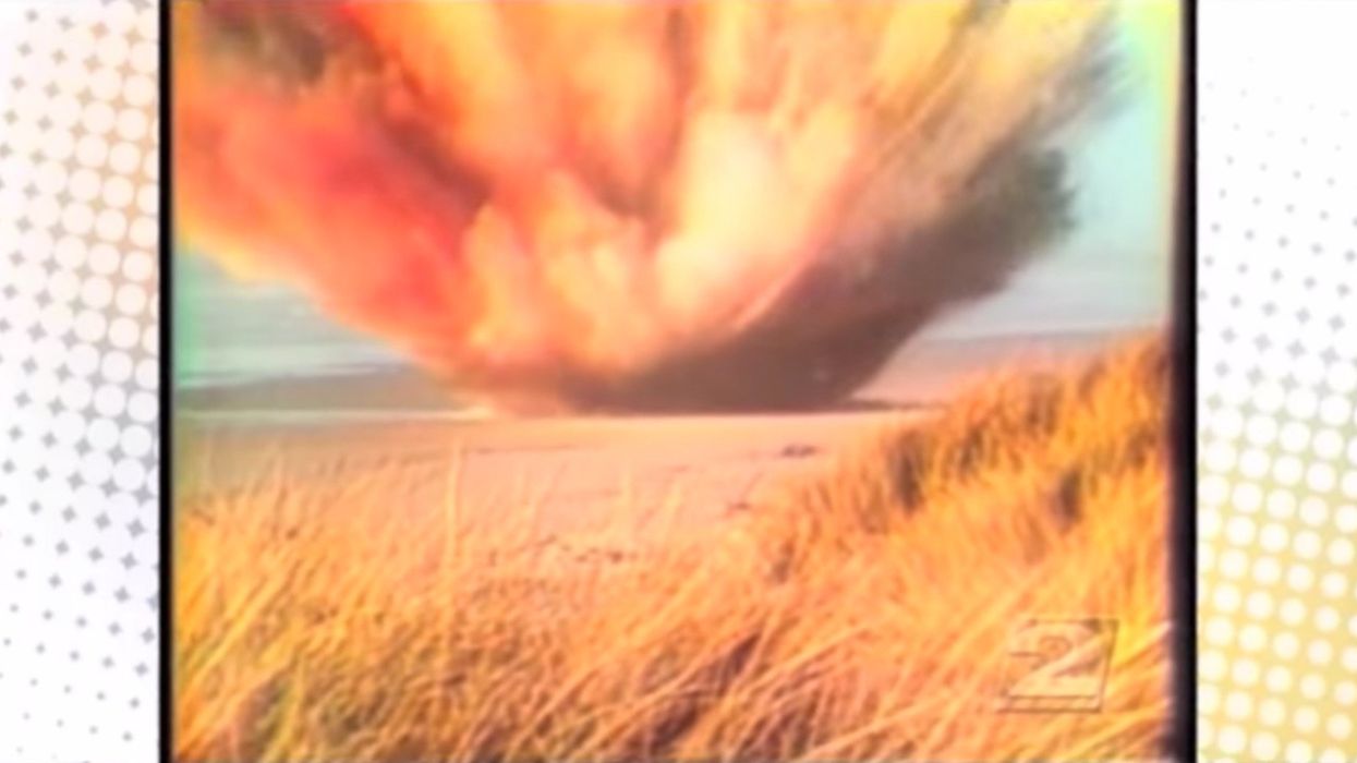 The West Coast has a growing dead whale problem. Is it time to give the Oregon 'solution' another try?