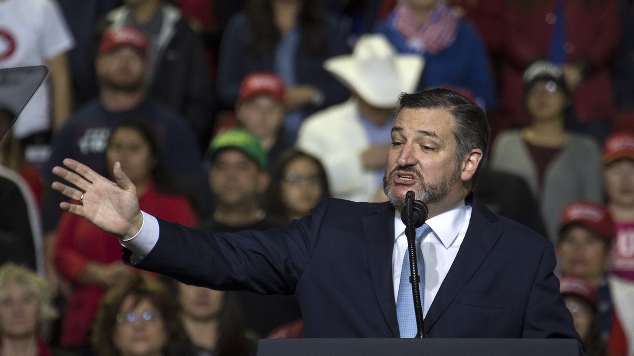 Ted Cruz handles NYT writer who said he has 'no business' using Frederick Douglass' name