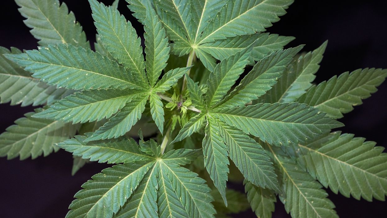 Anxiety, Tourette sufferers will soon be able to legally smoke weed in Pennsylvania