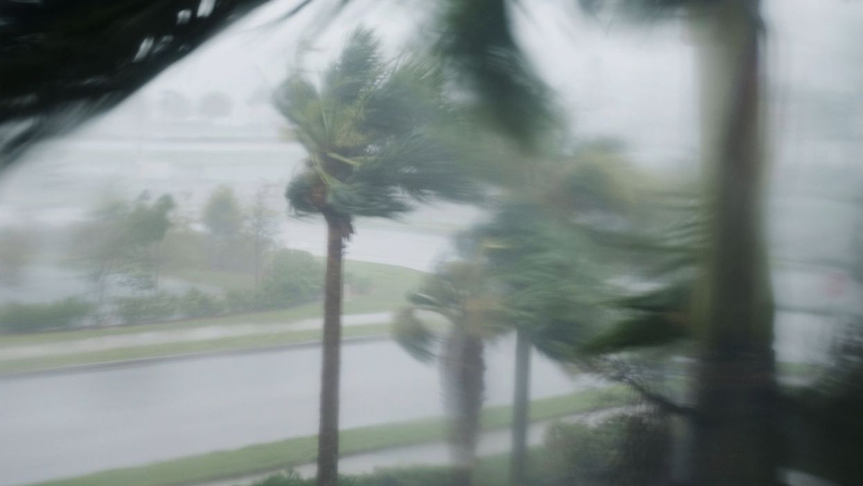 Left-wing students sign fake petition to change 'Hurricanes' mascot at U. of Miami — since it's 'offensive' to those hurt by hurricanes