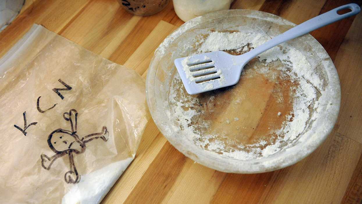 Officials warn against dumping drugs down toilets — for fear of creating 'meth-gators'