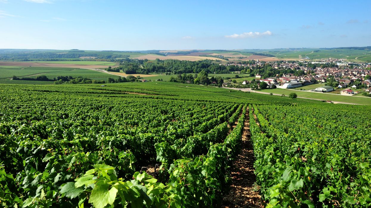 President Trump threatens to punish France for Macron's 'foolishness' over tax on tech giants