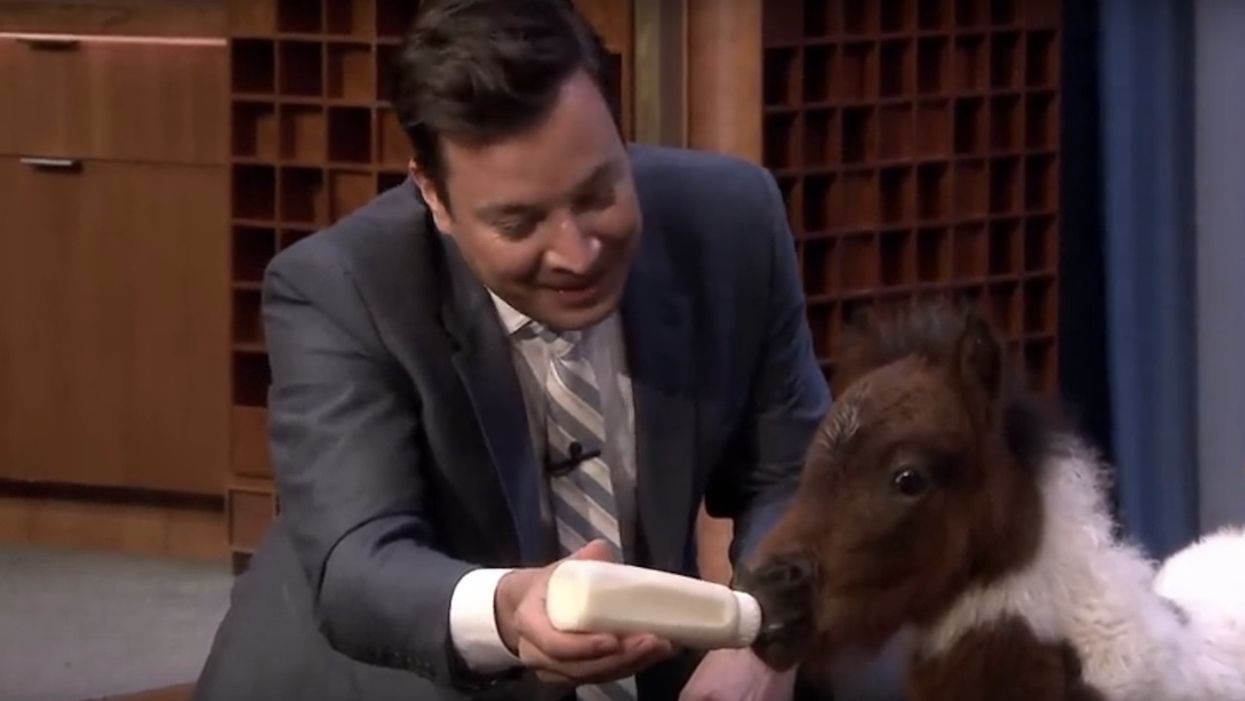 PETA complains animals on 'Tonight Show' are 'passed around like props' — and NYC health officials are investigating