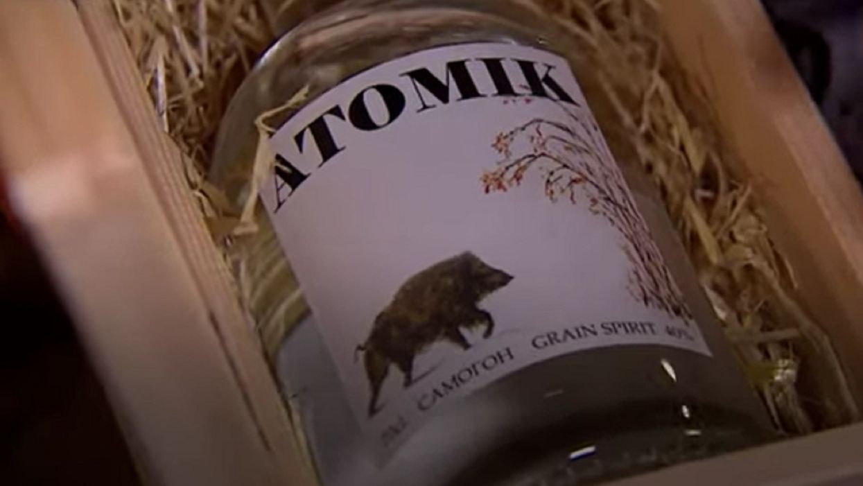 Scientists hope to sell vodka made from grain grown in Chernobyl's exclusion zone