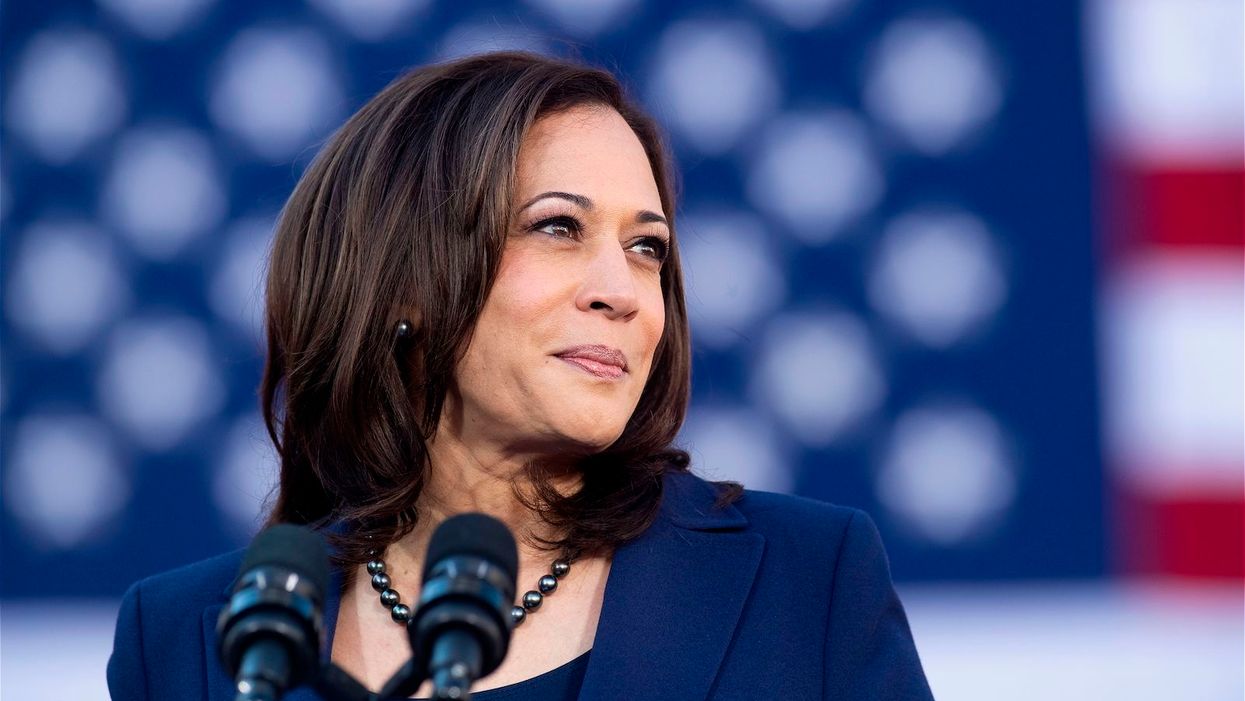 Kamala Harris is proposing a new kind of 'red flag' law to take guns away from racists