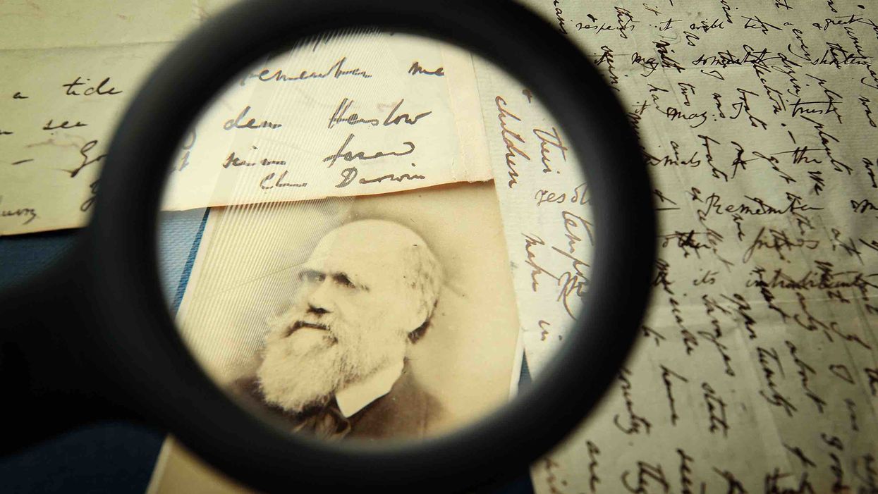 If you challenge Darwinism, you challenge everything about Progressivism
