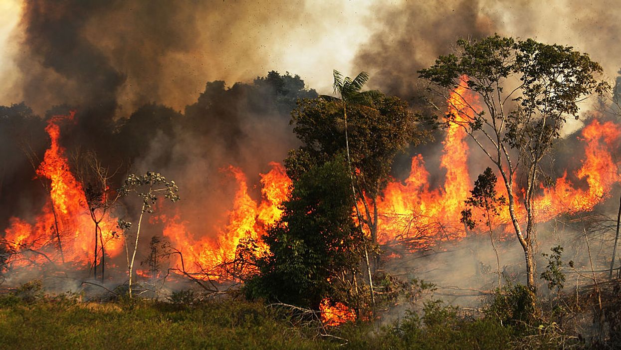 NASA, scientists respond to climate change hysteria around Amazon fires