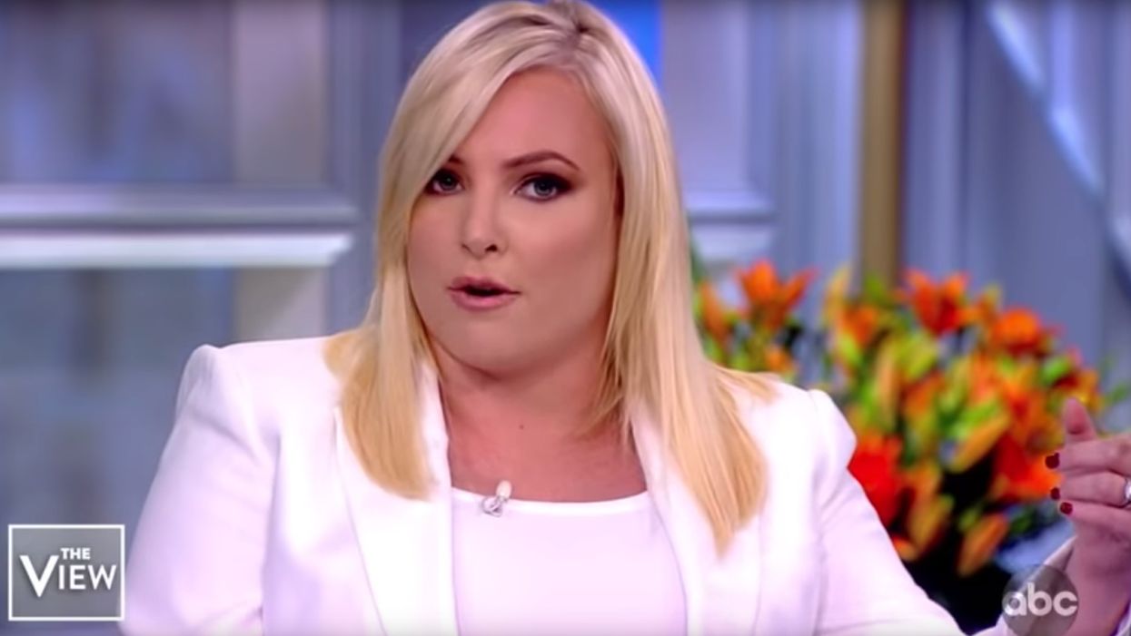 Meghan McCain issues ominous warning about gun-grabbers on 'The View': 'There’s going to be a lot of violence' if you take away guns