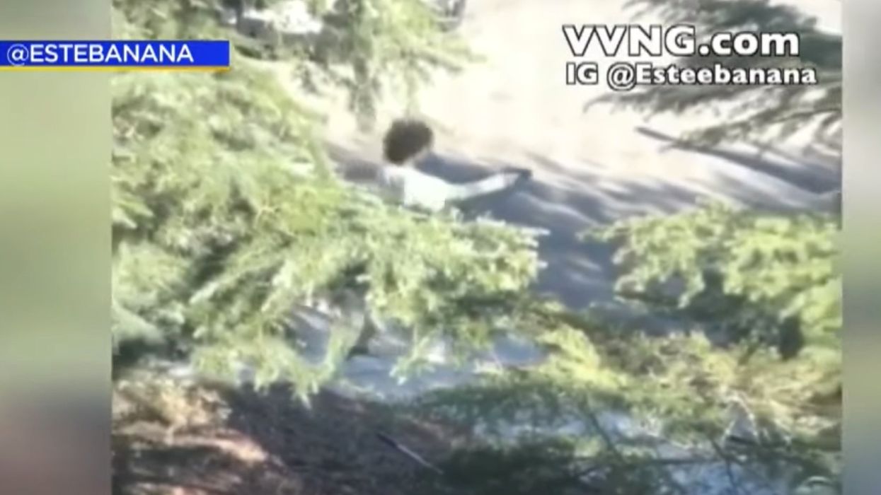 Stunning cellphone video captures the moment a man takes gun from officer and shoots at her