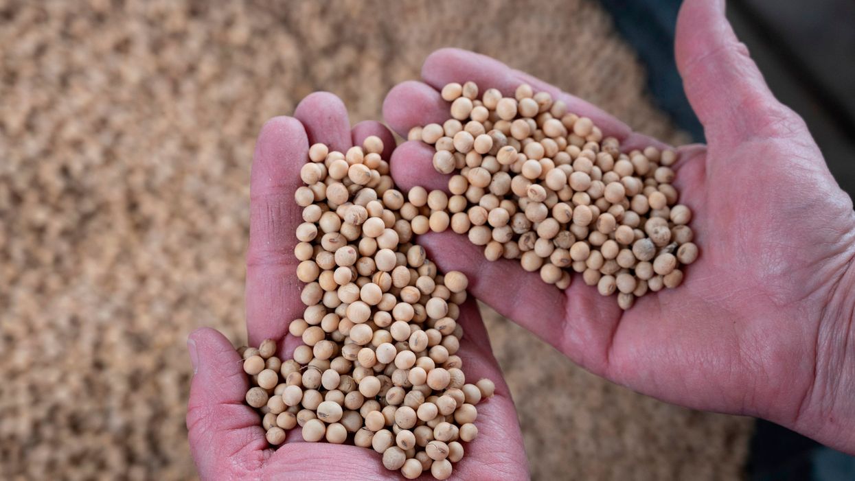 China exempts US soybeans and pork from tariffs